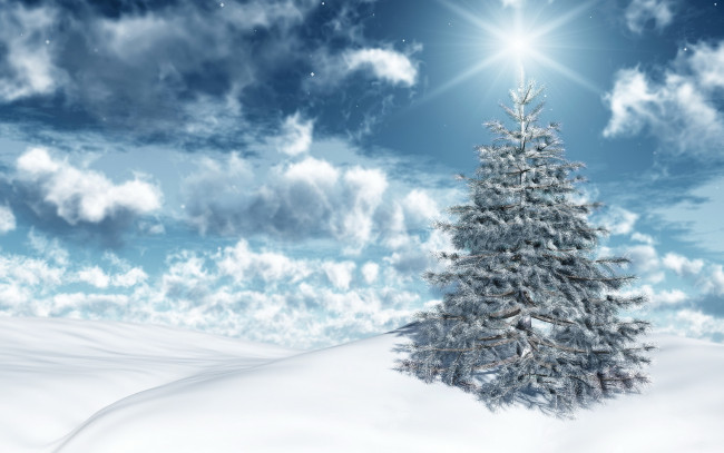 Обои картинки фото праздничные, Ёлки, снег, зима