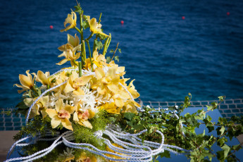 Картинка цветы букеты композиции плющ море орхидеи