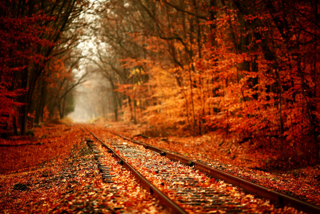 Обои картинки фото разное, транспортные, средства, магистрали, листва, железная, дорога, рыжая, осень