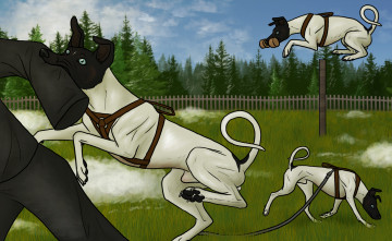 Картинка рисованные животные собаки дресировка