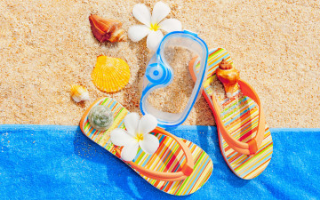 Картинка разное одежда +обувь +текстиль +экипировка summer лето пляж seashells sand accessories beach vacation ракушки цветы сланцы песок