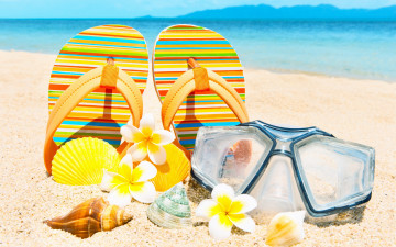 Картинка разное одежда +обувь +текстиль +экипировка accessories ракушки цветы sand summer vacation сланцы песок лето пляж seashells beach