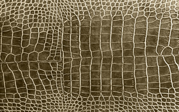 Картинка разное текстуры кожа крокодил texture crocodile leather skin
