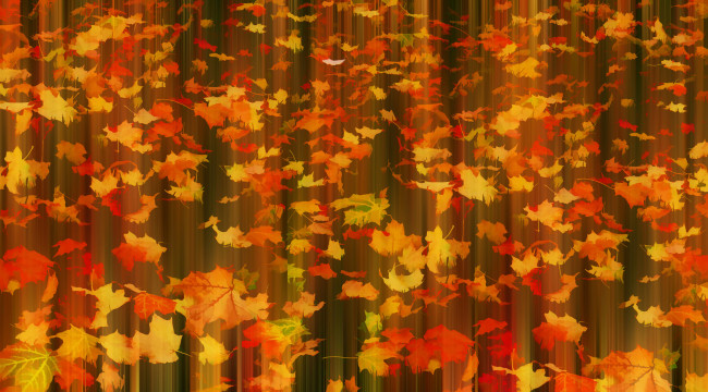 Обои картинки фото разное, компьютерный дизайн, листья, осень, fall, in, motion