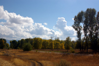 Картинка природа пейзажи осень изгородь деревья