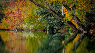 Картинка природа реки озера отражение вода осень