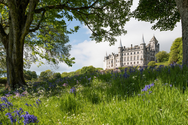 Обои картинки фото dunrobin castle, города, - дворцы,  замки,  крепости, замок, парк