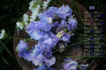 Картинка календари цветы разноцветные