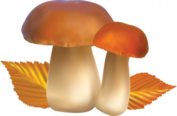 Картинка векторная+графика еда+ food листья осень грибы