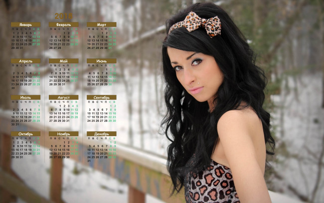 Обои картинки фото календари, девушки, снег, взгляд, деревья
