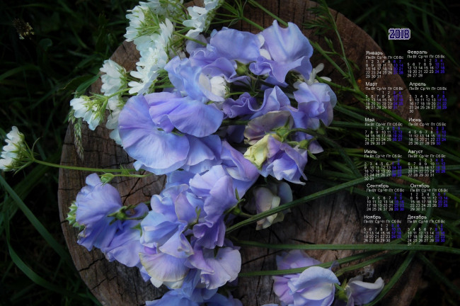 Обои картинки фото календари, цветы, разноцветные