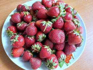 Картинка еда клубника +земляника ягоды свежая