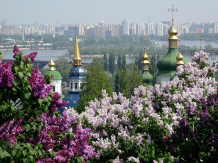 Картинка киев города украина кресты купола сирень дома