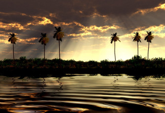 Картинка 3д графика nature landscape природа закат пальма
