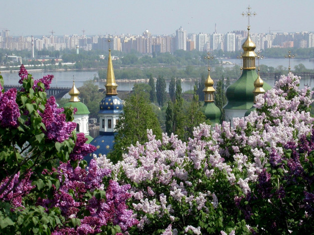 Обои картинки фото киев, города, украина, кресты, купола, сирень, дома