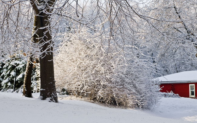 Обои картинки фото природа, зима, дом, снег, кусты