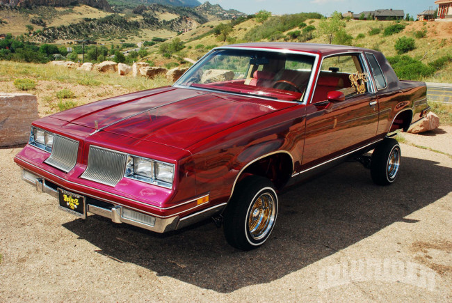 Обои картинки фото 1983, oldsmobile, cutlass, автомобили