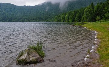 Картинка природа реки озера озеро камень лес