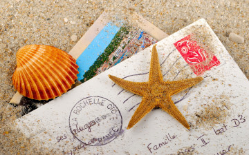 Картинка разное ракушки кораллы декоративные spa камни песок конверт звезда ракушка