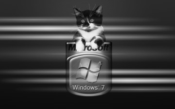 обоя компьютеры, windows, vienna, логотип, фон, котик