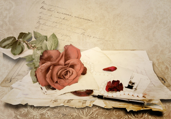 Обои картинки фото цветы, розы, письма, винтаж, перо