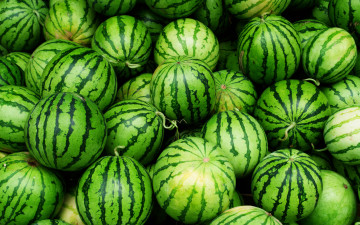 Картинка еда арбуз арбузы green fruit watermelon