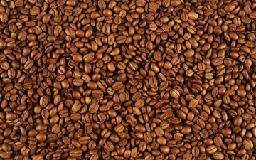 Картинка еда кофе +кофейные+зёрна pattern coffee beans зёрна many