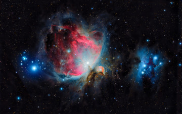 обоя m42 orion nebula, космос, галактики, туманности, туманность, вселенная