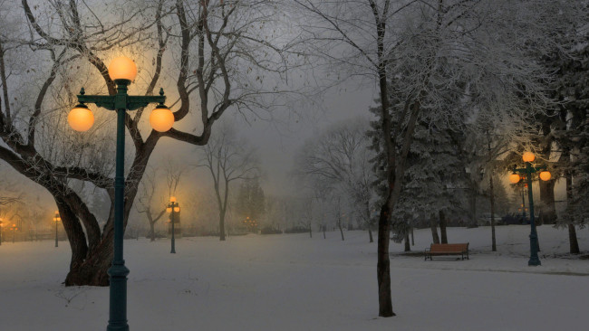 Обои картинки фото природа, парк, фонари, скамейки, снег, зима, свет