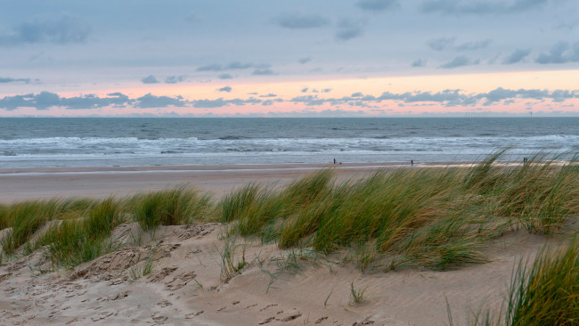 Обои картинки фото природа, побережье, берег, песок, трава, море, волны, облака, закат