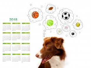 Картинка календари животные взгляд морда собака