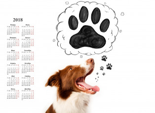 Картинка календари животные собака морда