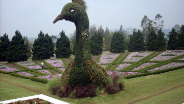 обоя разное, садовые и парковые скульптуры, птица