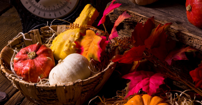 Обои картинки фото еда, тыква, дары, осени, листья, корзина