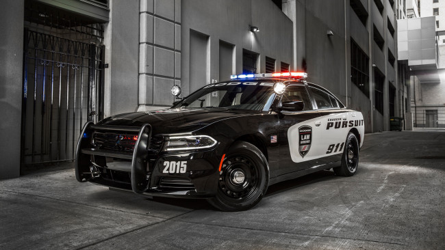 Обои картинки фото dodge charger pursuit 2015, автомобили, dodge, charger, pursuit, 2015