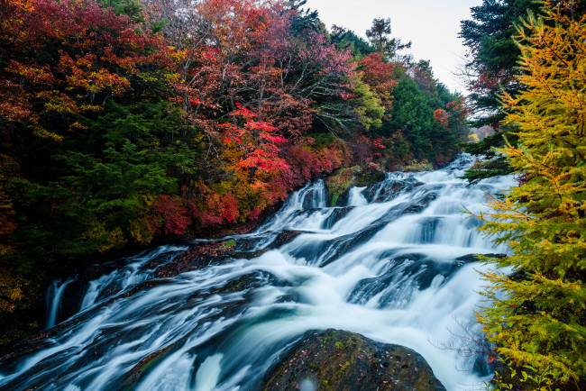 Обои картинки фото природа, водопады, осень, водопад, деревья, лес