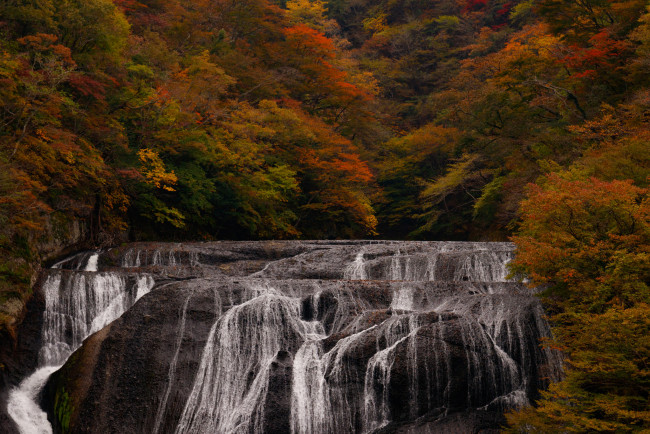 Обои картинки фото природа, водопады, поток, водопад, пейзаж, осень, деревья