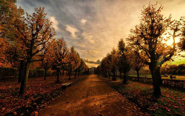 Обои картинки фото природа, парк, осень, аллея, деревья, дорога