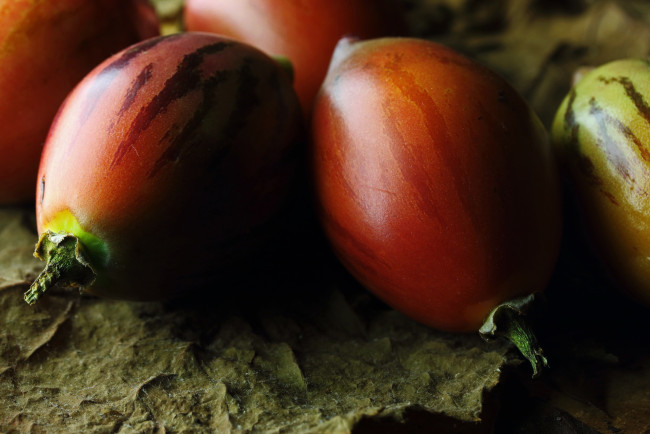 Обои картинки фото tree tomato fruit, еда, тамарилло, tree, tomato, fruit