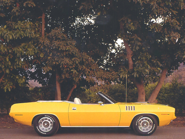 Обои картинки фото plymouth, hemi, cuda, 1971, автомобили