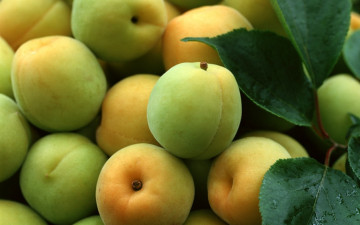 обоя еда, персики, сливы, абрикосы