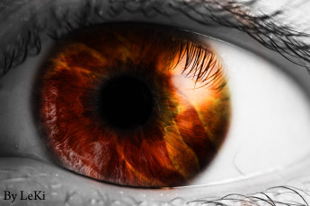 Картинка разное глаза ресничка глаз
