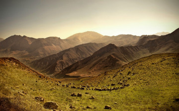 Картинка природа горы iran стадо овцы