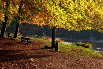 Картинка франция бонльё природа парк река осень
