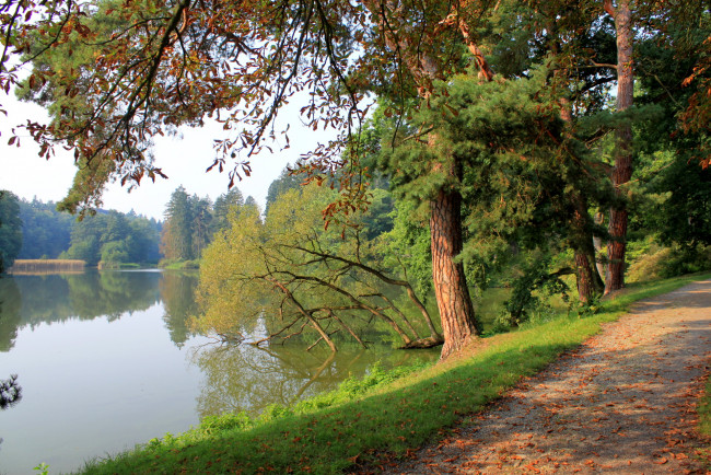 Обои картинки фото Чехия, pruhonice, природа, реки, озера, река, дорожка, деревья