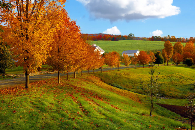 Обои картинки фото природа, поля, дорога, рсень