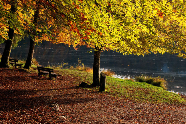 Обои картинки фото франция, бонльё, природа, парк, река, осень