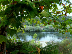 Картинка boucas portugal природа реки озера деревья река парк