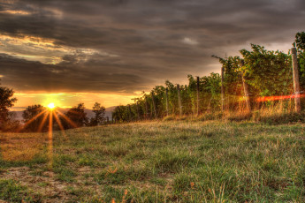 Картинка pisa tuscany италия природа восходы закаты луга закат виноградники