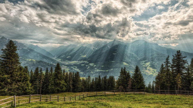 Обои картинки фото альпы, австрия, природа, горы, лес, луга, ели